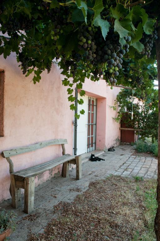 Hosteria Rural Viejo Roble San Rafael  Extérieur photo